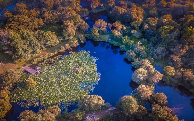 Trecombe Lakes Camborne Kültér fotó