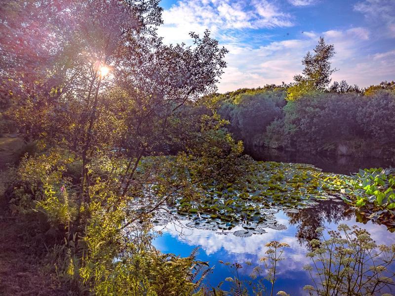 Trecombe Lakes Camborne Kültér fotó