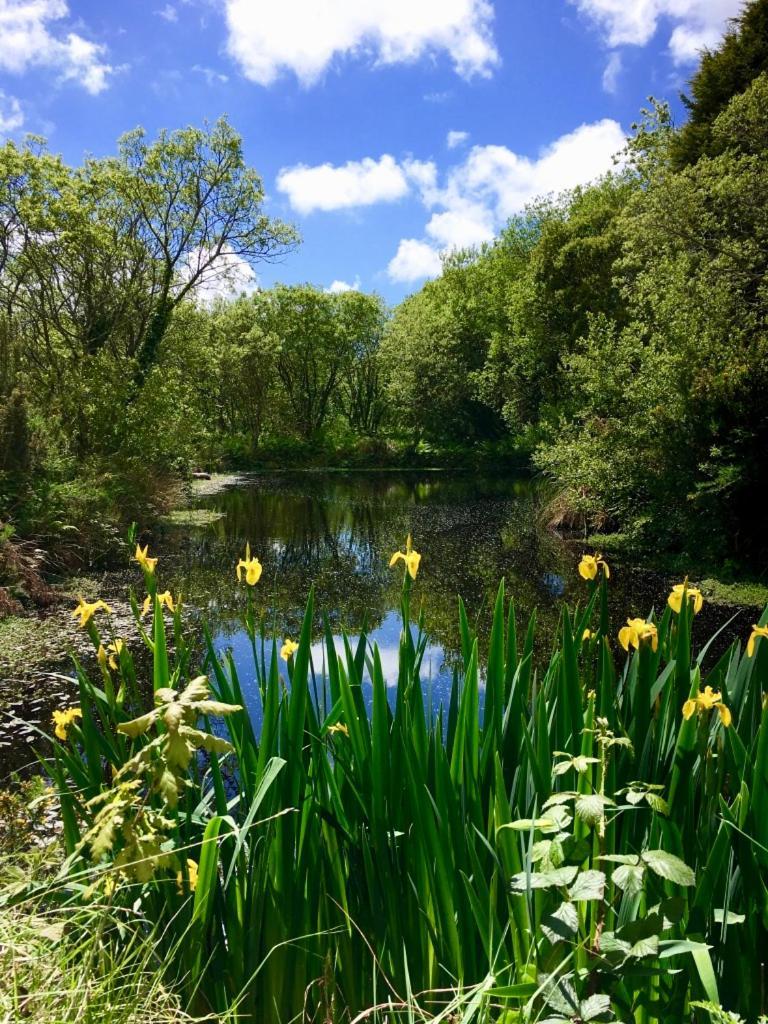 Trecombe Lakes Camborne Szoba fotó